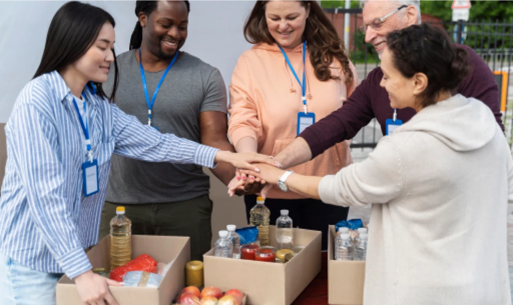 Government & Nonprofit Organizations