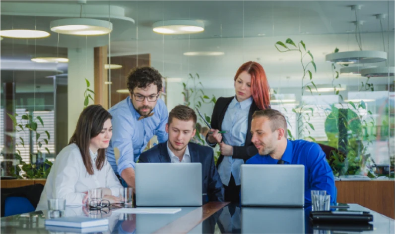 Tech Companies & Startups